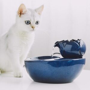 Quels sont les achats et les précautions pour les abreuvoirs pour chats ?插图