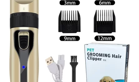 cutting dog hair with clippers