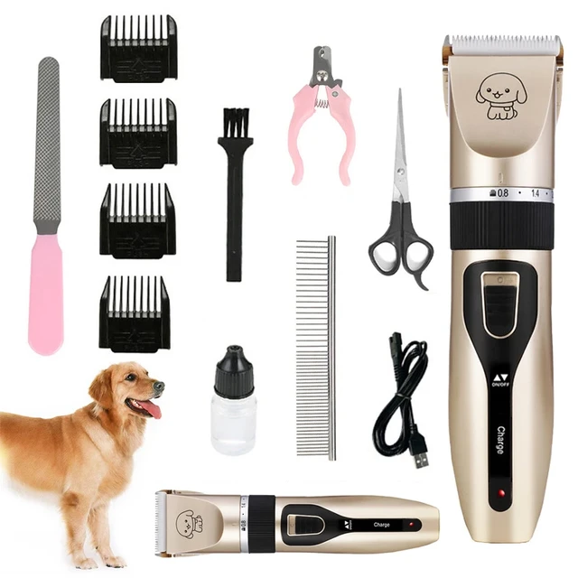 cutting dog hair with clippers