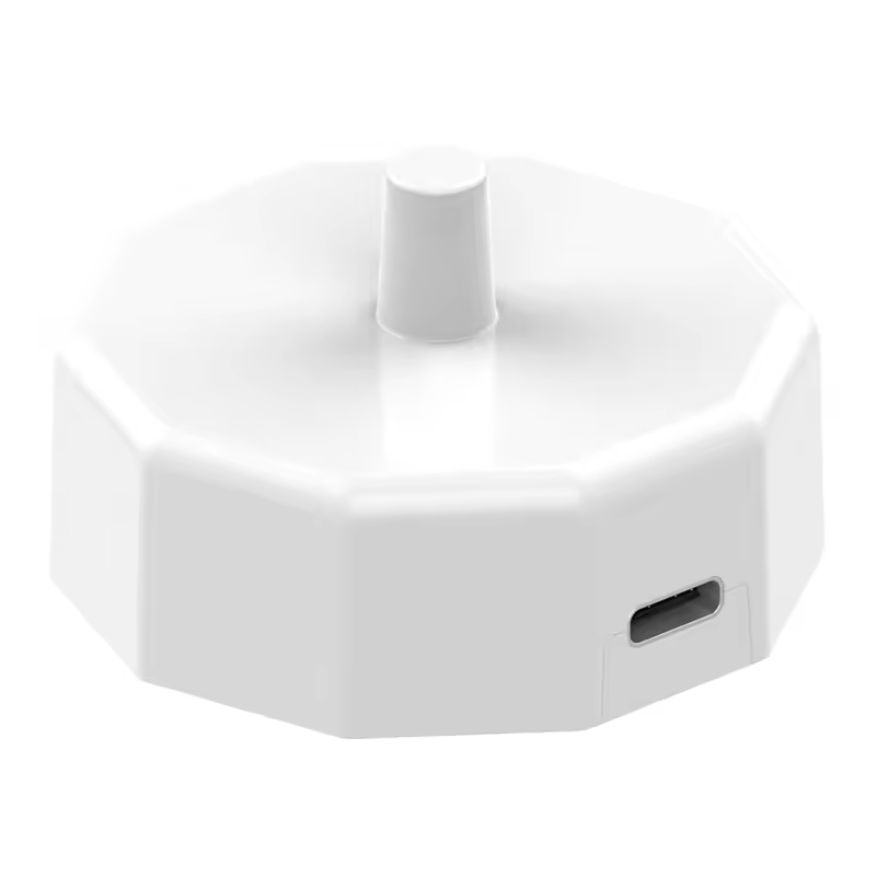 electric toothbrush charger